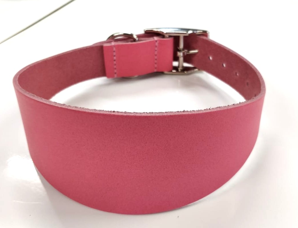 Dog Collar - Greyhound - Variety Of Colours & Sizes (Pink Cotton Candy, Large)