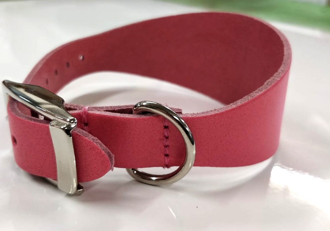 Dog Collar - Greyhound - Variety Of Colours & Sizes (Pink Cotton Candy, Small)