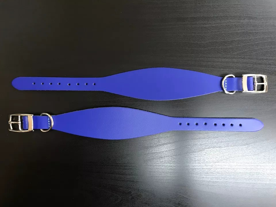 Dog Collar - Greyhound - Variety of Colours & Sizes (Royal Blue, Small)